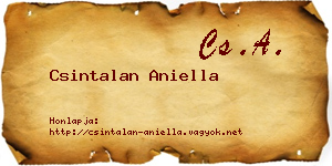 Csintalan Aniella névjegykártya